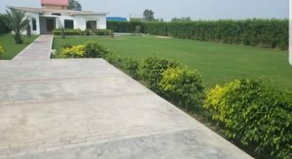BARKI ROAD FARMHOUSE  07