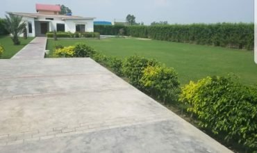 BARKI ROAD FARMHOUSE  07