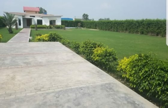 BARKI ROAD FARMHOUSE  07