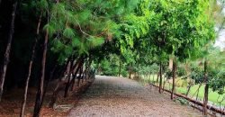 RAIWIND ROAD FARMHOUSE 13