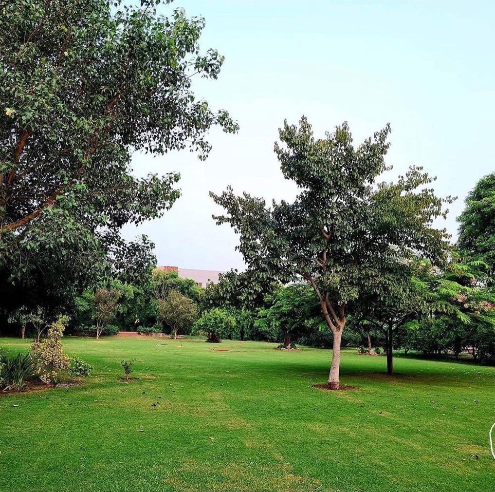 RAIWIND ROAD FARMHOUSE 13