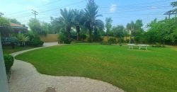 WAPDA TOWN FARMHOUSE 167