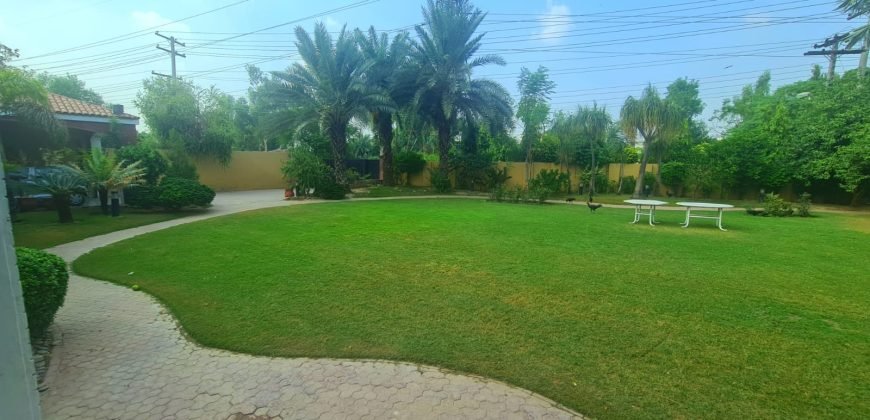 WAPDA TOWN FARMHOUSE 167