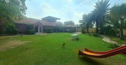 WAPDA TOWN FARMHOUSE 167
