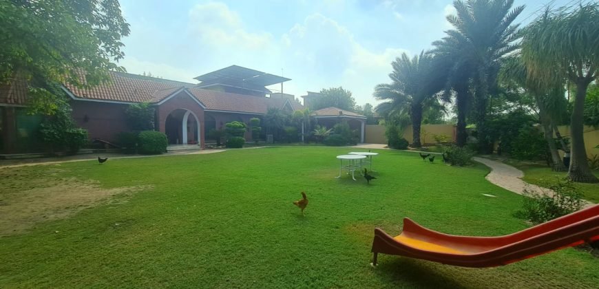 WAPDA TOWN FARMHOUSE 167