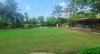 WAPDA TOWN FARMHOUSE 167