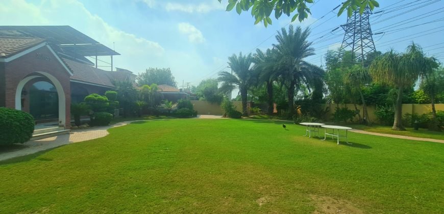 WAPDA TOWN FARMHOUSE 167