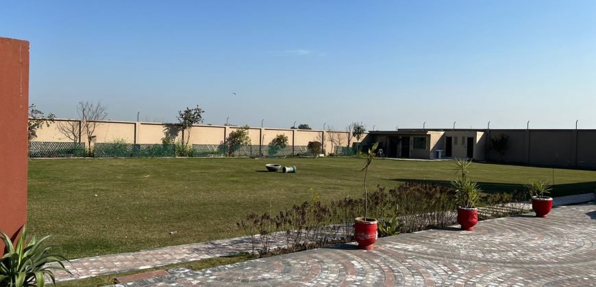 BARKI ROAD FARMHOUSE 89