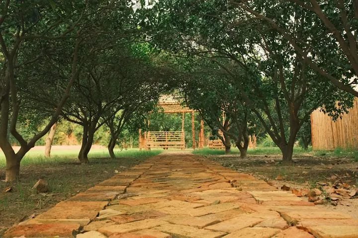 RAIWIND ROAD FARMHOUSE 13