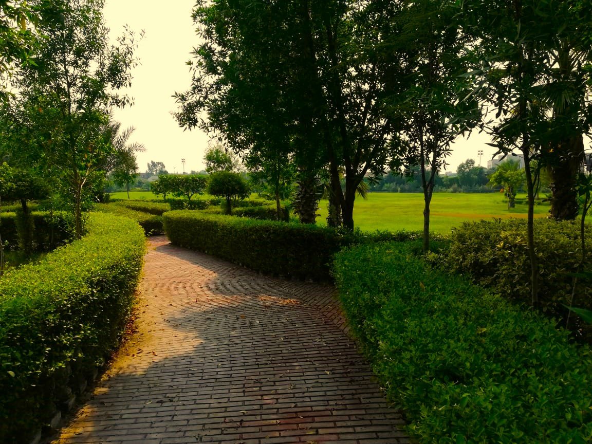 GREEN ACRE FARMHOUSE 18