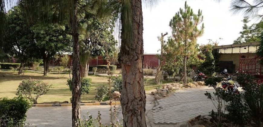 FAISALABAD FARMHOUSE 98