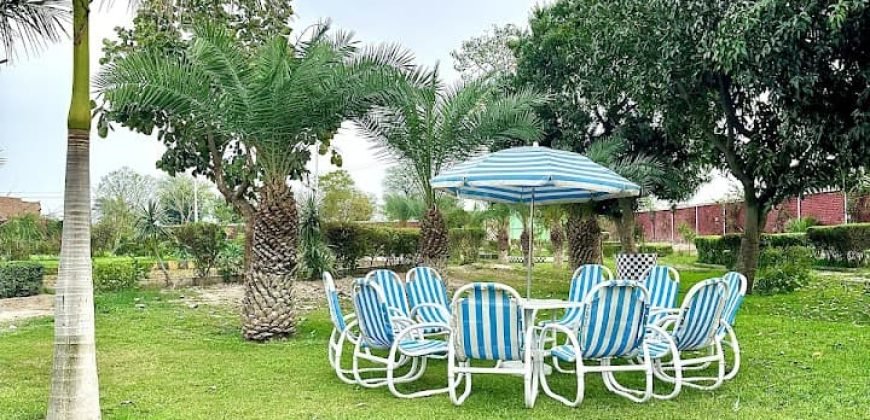 FAISALABAD FARMHOUSE 98