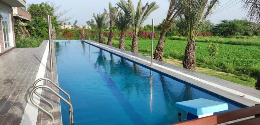 BARKI ROAD FARMHOUSE 44