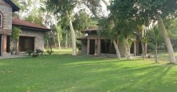RAIWIND ROAD FARMHOUSE 15