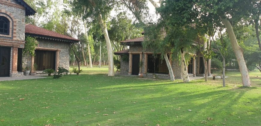 RAIWIND ROAD FARMHOUSE 15