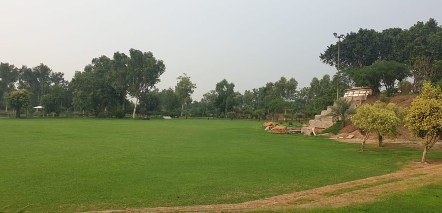 RAIWIND ROAD FARMHOUSE 15