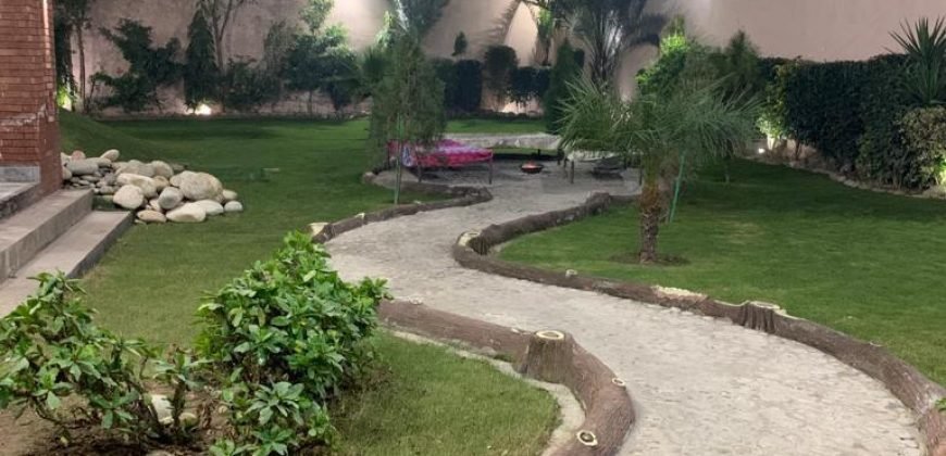 SHAHDARA FARMHOUSE 54