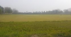 BEDIAN ROAD FARMHOUS 34