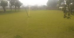 BEDIAN ROAD FARMHOUS 34