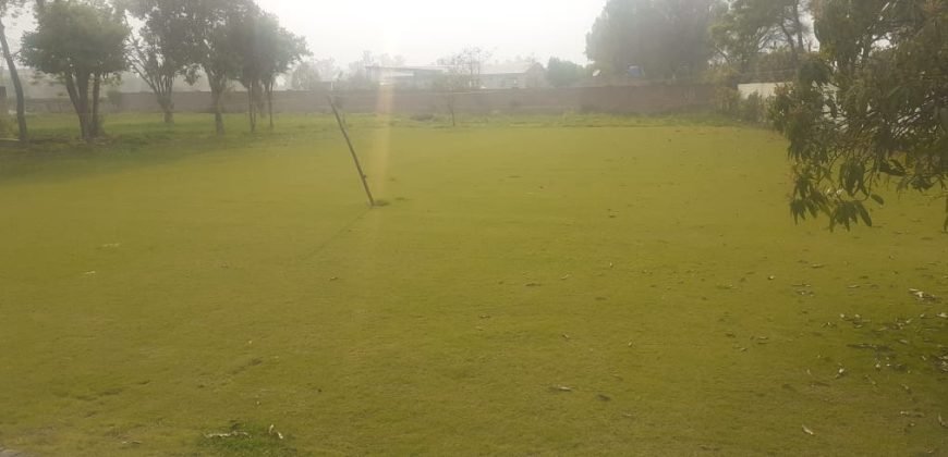 BEDIAN ROAD FARMHOUS 34