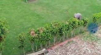 BHAINI ROAD FARMHOUSE 121