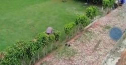 BHAINI ROAD FARMHOUSE 121