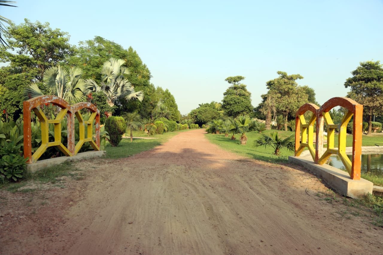 BEDIAN ROAD FARMHOUSE 01