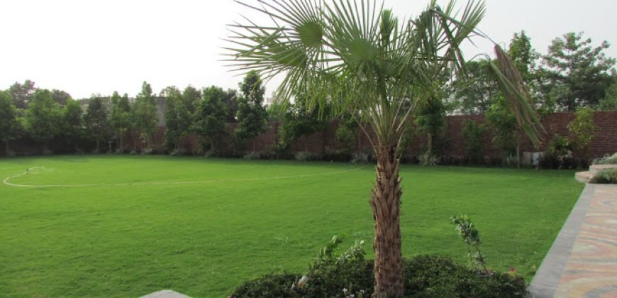 RAIWIND ROAD FARMHOUSE 127