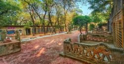 KASUR ROAD FARMHOUSE 57
