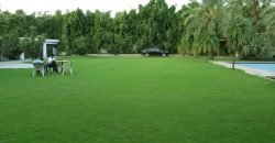 DHA FARMHOUSE 03