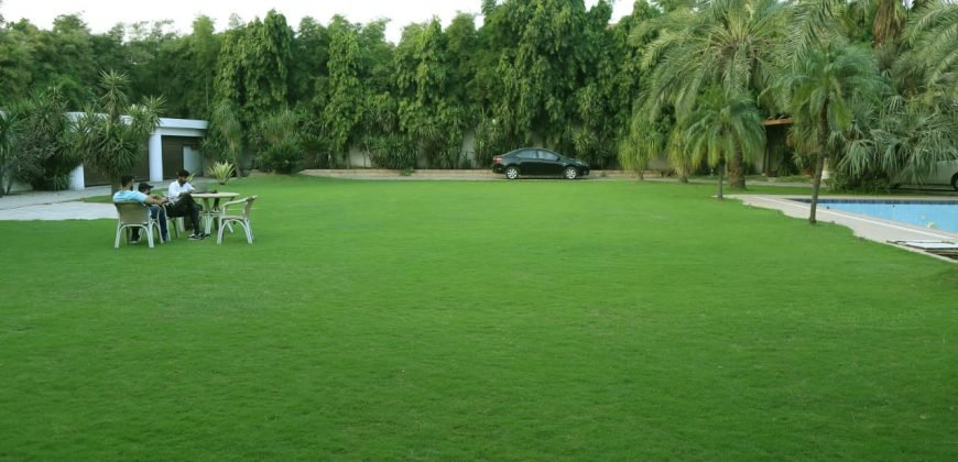 DHA FARMHOUSE 03