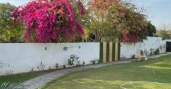 RAIWIND ROAD FARMHOUSE 111