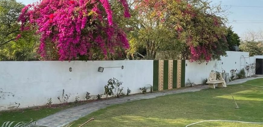 RAIWIND ROAD FARMHOUSE 111