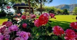 KHANPUR  FARMHOUSE 69