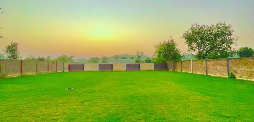 ADDA PLOT FARMHOUSE 163