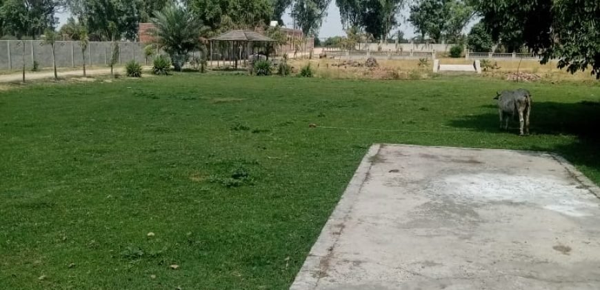 SWIMMING POOL BEDIAN ROAD 137