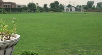 BARKI ROAD FARMHOUSE 112