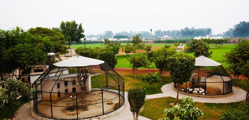BARKI ROAD FARMHOUSE 67
