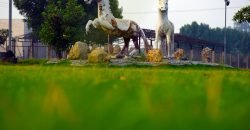 BARKI ROAD FARMHOUSE 67