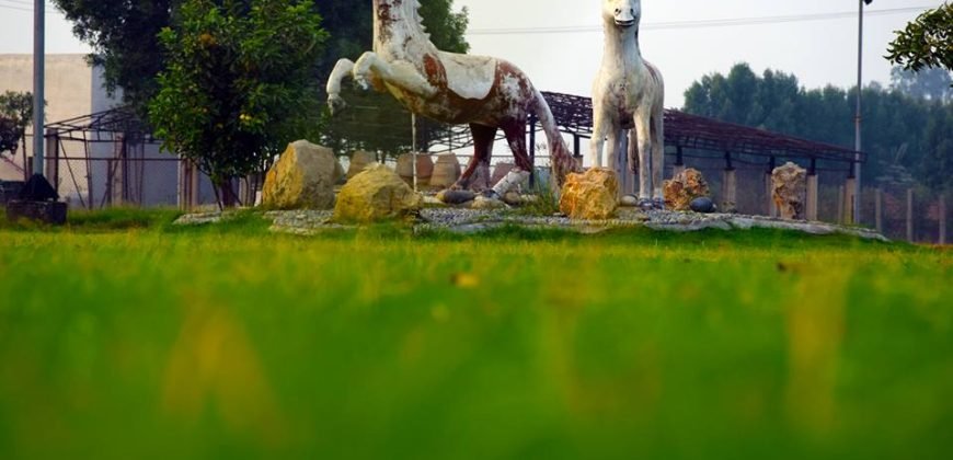 BARKI ROAD FARMHOUSE 67
