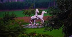 BARKI ROAD FARMHOUSE 132