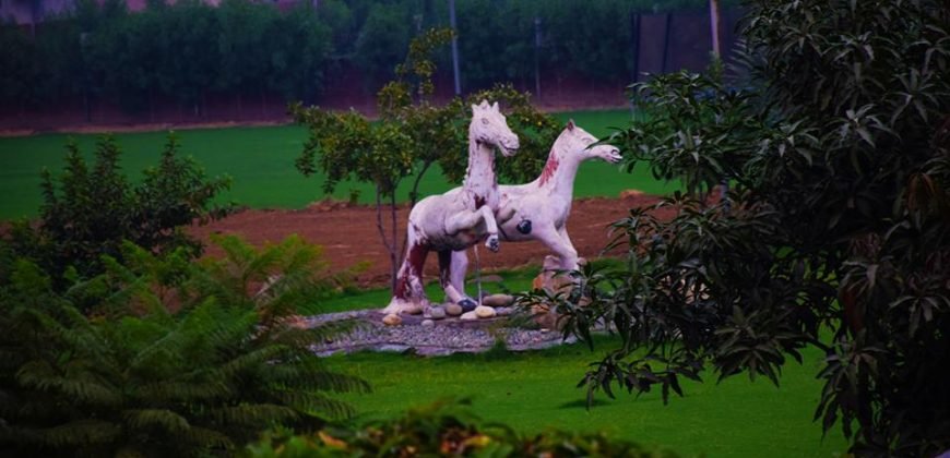 BARKI ROAD FARMHOUSE 132