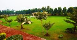BARKI ROAD FARMHOUSE 67