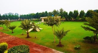 BARKI ROAD FARMHOUSE 67