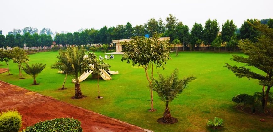 BARKI ROAD FARMHOUSE 67