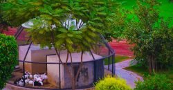 BARKI ROAD FARMHOUSE 67