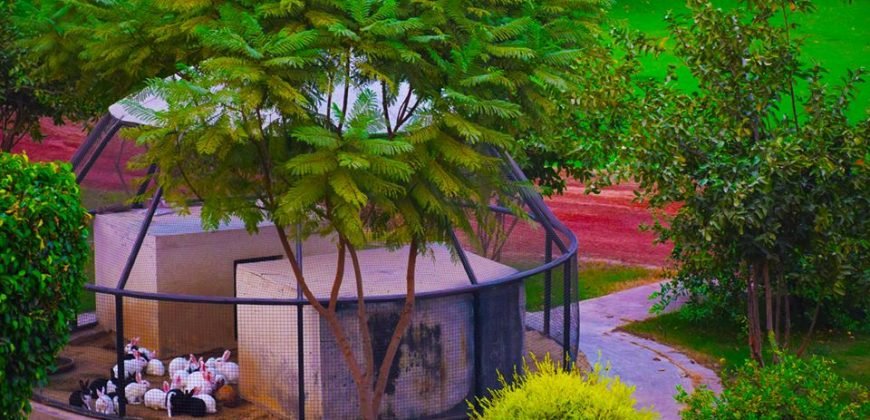 BARKI ROAD FARMHOUSE 67