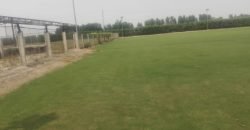 BARKI ROAD FARMHOUSE 132