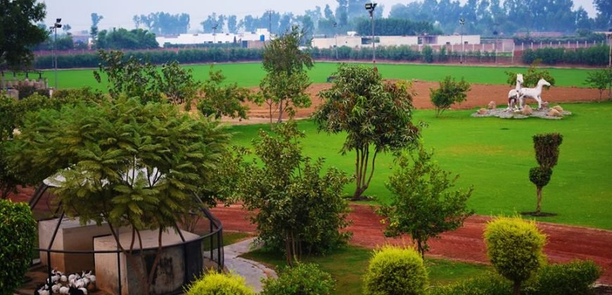 BARKI ROAD FARMHOUSE 67