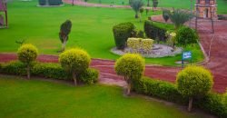 BARKI ROAD FARMHOUSE 67